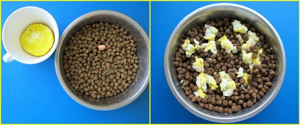 Ração Cão Adulto 10kg